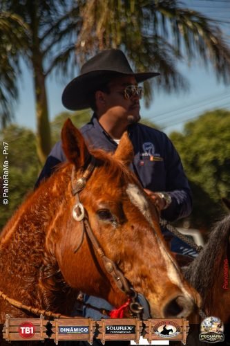 Desfile-de-Cavaleiros-Galeria-02-288