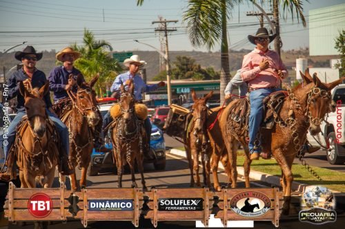 Desfile-de-Cavaleiros-Galeria-02-292