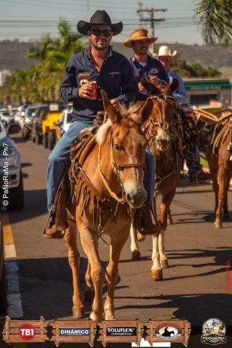 Desfile-de-Cavaleiros-Galeria-02-293