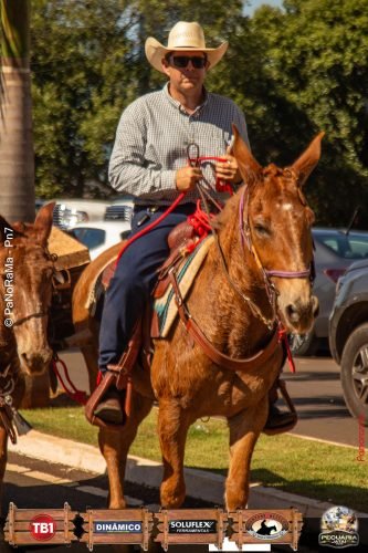 Desfile-de-Cavaleiros-Galeria-02-296