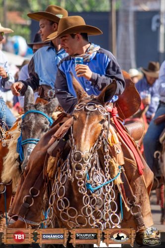 Desfile-de-Cavaleiros-Galeria-02-333