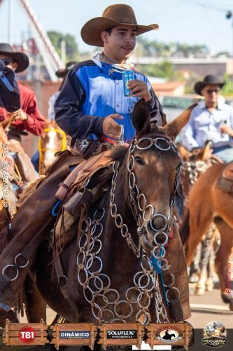Desfile-de-Cavaleiros-Galeria-02-335