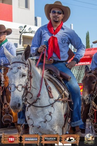 Desfile-de-Cavaleiros-Galeria-02-339
