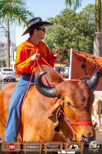 Desfile-de-Cavaleiros-Galeria-02-34