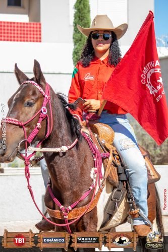 Desfile-de-Cavaleiros-Galeria-02-363