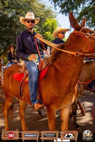 Desfile-de-Cavaleiros-Galeria-02-80