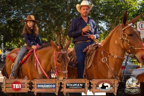 Desfile-de-Cavaleiros-Galeria-02-83