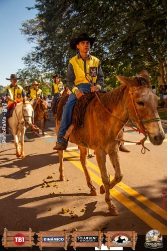 Desfile-de-Cavaleiros-Galeria-02-91