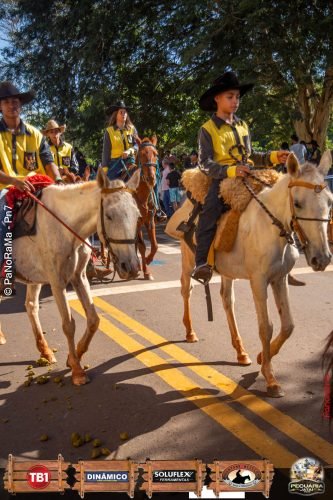 Desfile-de-Cavaleiros-Galeria-02-92