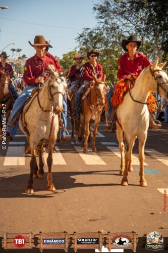 Desfile-de-Cavaleiros-Galeria-02-96