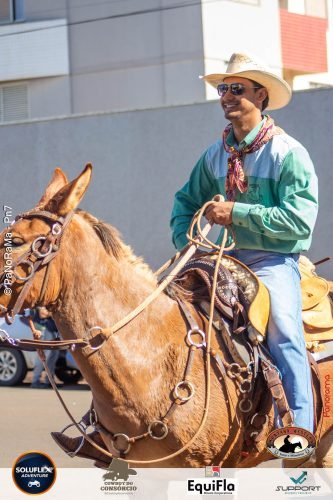 Desfile-dos-Cavaleiros-em-Jatai-252