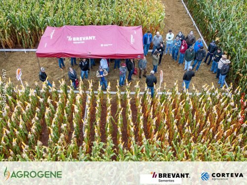 Dia-de-Campo-Milho-Brevant-Agrogene-1