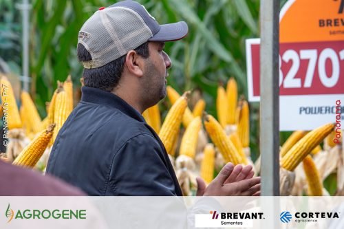 Dia-de-Campo-Milho-Brevant-Agrogene-103