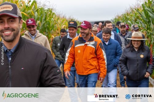 Dia-de-Campo-Milho-Brevant-Agrogene-105