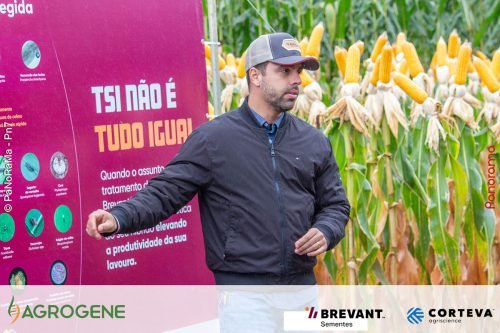 Dia-de-Campo-Milho-Brevant-Agrogene-114