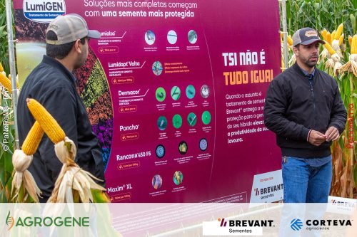 Dia-de-Campo-Milho-Brevant-Agrogene-115