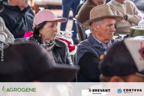 Dia-de-Campo-Milho-Brevant-Agrogene-147