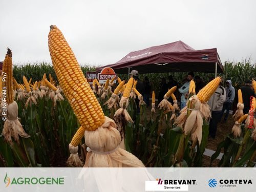 C:DCIM100GOPROGOPR0527.GPR