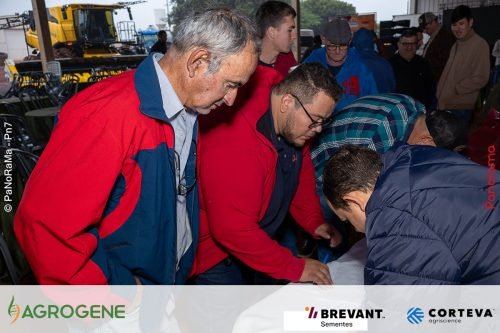 Dia-de-Campo-Milho-Brevant-Agrogene-194