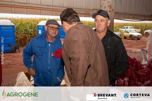 Dia-de-Campo-Milho-Brevant-Agrogene-214