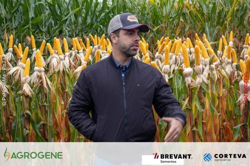 Dia-de-Campo-Milho-Brevant-Agrogene-228