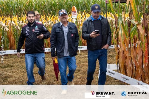 Dia-de-Campo-Milho-Brevant-Agrogene-246