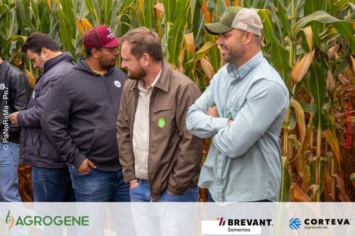 Dia-de-Campo-Milho-Brevant-Agrogene-252