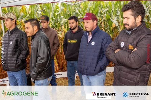 Dia-de-Campo-Milho-Brevant-Agrogene-254