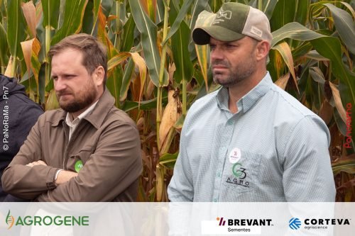 Dia-de-Campo-Milho-Brevant-Agrogene-255