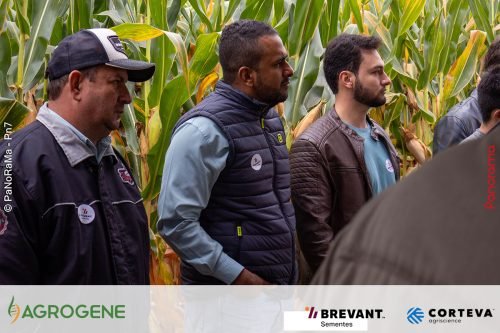 Dia-de-Campo-Milho-Brevant-Agrogene-256