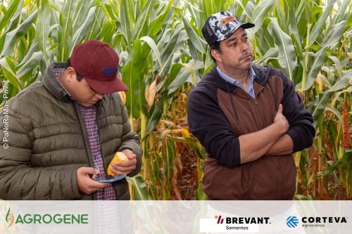 Dia-de-Campo-Milho-Brevant-Agrogene-259