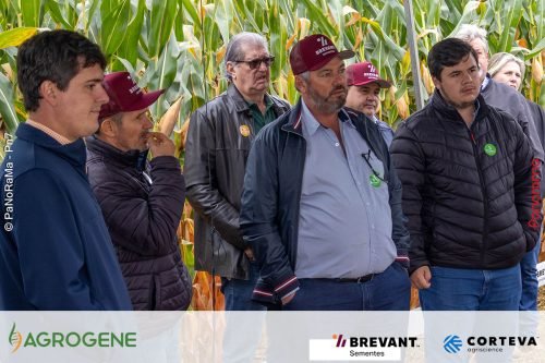 Dia-de-Campo-Milho-Brevant-Agrogene-264