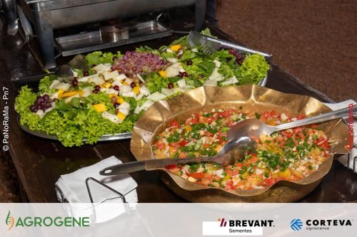 Dia-de-Campo-Milho-Brevant-Agrogene-295