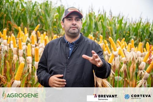 Dia-de-Campo-Milho-Brevant-Agrogene-329