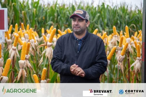 Dia-de-Campo-Milho-Brevant-Agrogene-332