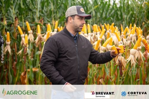 Dia-de-Campo-Milho-Brevant-Agrogene-333