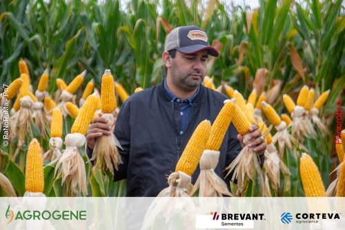 Dia-de-Campo-Milho-Brevant-Agrogene-336