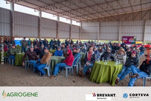 Dia-de-Campo-Milho-Brevant-Agrogene-370