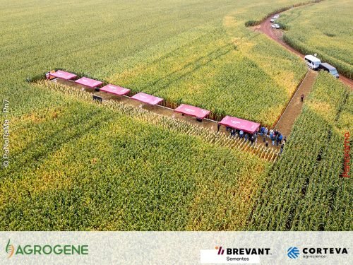 Dia-de-Campo-Milho-Brevant-Agrogene-4