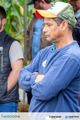 Dia-de-Campo-Milho-Brevant-Agrogene-63