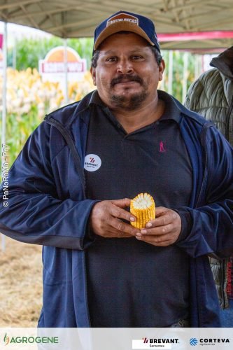 Dia-de-Campo-Milho-Brevant-Agrogene-68