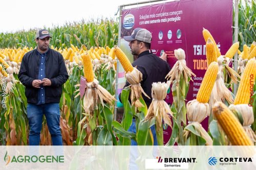 Dia-de-Campo-Milho-Brevant-Agrogene-74