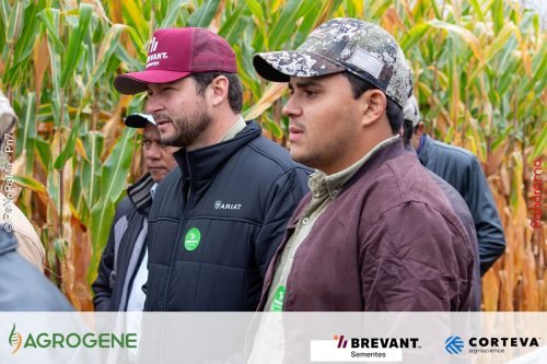 Dia-de-Campo-Milho-Brevant-Agrogene-88