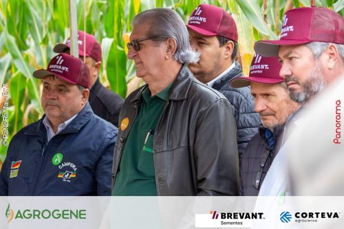 Dia-de-Campo-Milho-Brevant-Agrogene-92