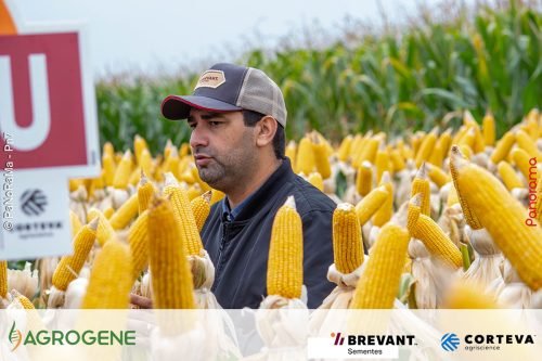 Dia-de-Campo-Milho-Brevant-Agrogene-98