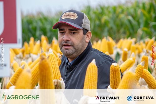 Dia-de-Campo-Milho-Brevant-Agrogene-99