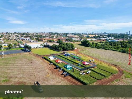 Dia-de-Campo-Plantar-1