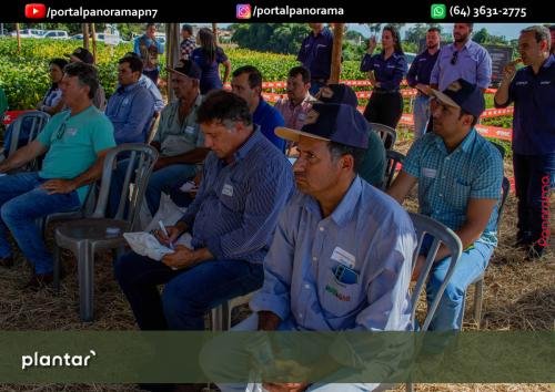 Dia-de-Campo-Plantar-140