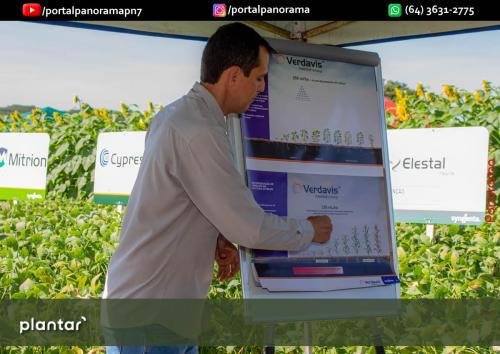 Dia-de-Campo-Plantar-163