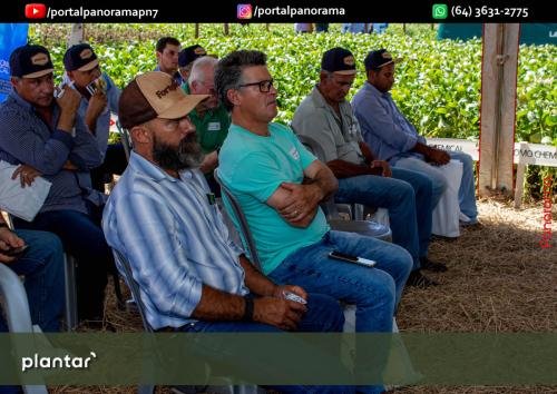 Dia-de-Campo-Plantar-203